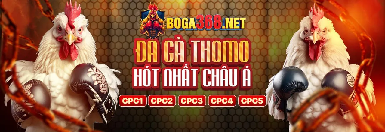 Đá Gà Trực Tuyến Hấp Dẫn tại 68vn login